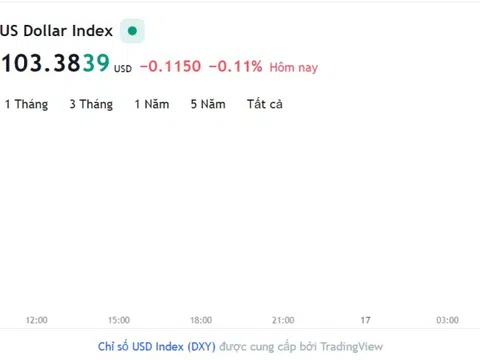 Tỷ giá USD hôm nay 16/2: Cập nhật tỷ giá USD trong nước và quốc tế