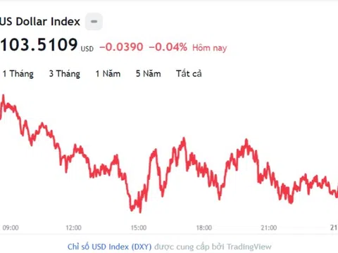 Tỷ giá USD hôm nay 21/2: Cập nhật tỷ giá USD trong nước và quốc tế