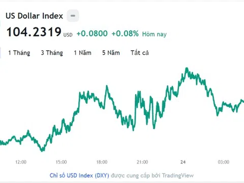 Tỷ giá USD hôm nay 24/2: Cập nhật tỷ giá USD trong nước và quốc tế