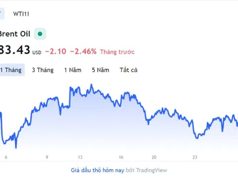 Giá xăng dầu hôm nay 1/3: Cập nhật giá xăng dầu trong nước, quốc tế