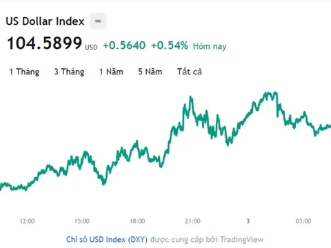 Tỷ giá USD hôm nay 3/3: Cập nhật tỷ giá USD trong nước và quốc tế