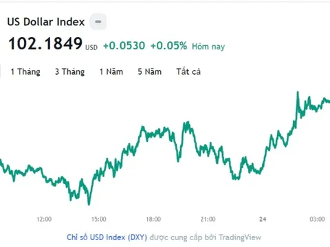 Tỷ giá USD mới nhất hôm nay 24/3: Cập nhật tỷ giá USD trong nước và quốc tế