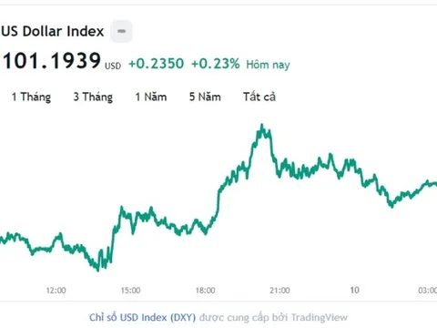 Tỷ giá USD hôm nay 10/5: Cập nhật tỷ giá USD trong nước và quốc tế