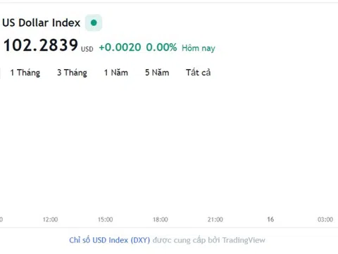 Tỷ giá USD hôm nay 15/5: Cập nhật tỷ giá USD trong nước và quốc tế