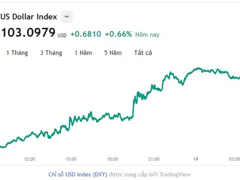 Tỷ giá USD hôm nay 19/5: Cập nhật tỷ giá USD trong nước và quốc tế