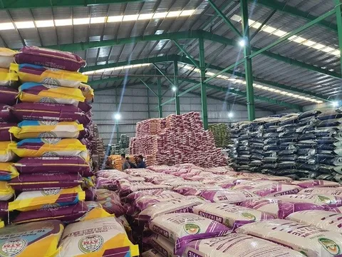 Dự báo giá phân bón có thể giảm tới 40% trong năm 2023