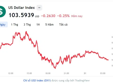 Tỷ giá USD hôm nay 31/5: Cập nhật tỷ giá USD trong nước và quốc tế