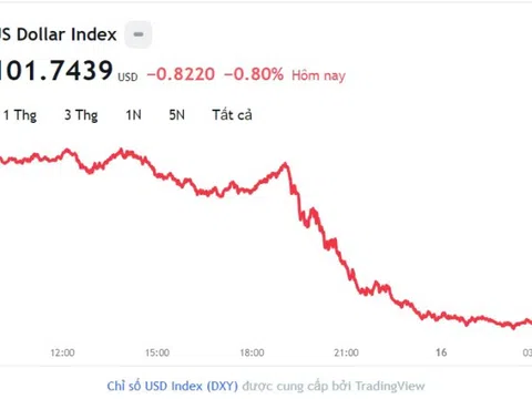 Tỷ giá USD hôm nay 16/6: Cập nhật tỷ giá USD trong nước và quốc tế