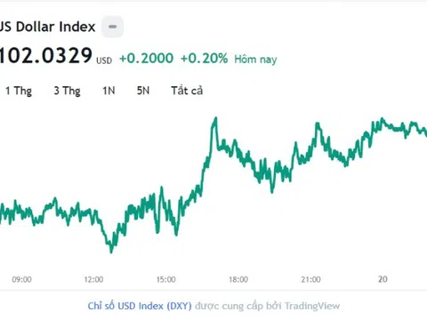 Tỷ giá USD hôm nay 20/6: Cập nhật tỷ giá USD trong nước và quốc tế