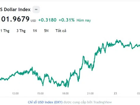 Tỷ giá USD hôm nay 23/6: Cập nhật tỷ giá USD trong nước và quốc tế