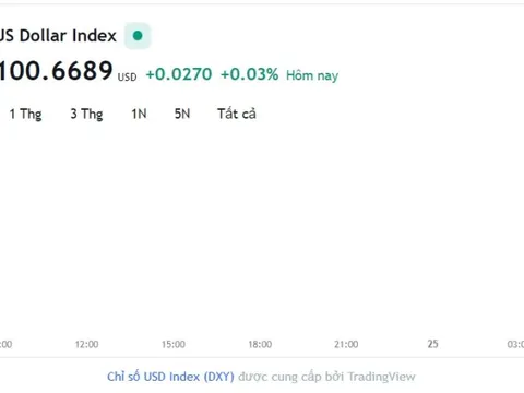 Tỷ giá USD hôm nay 24/7: Cập nhật tỷ giá USD trong nước và quốc tế