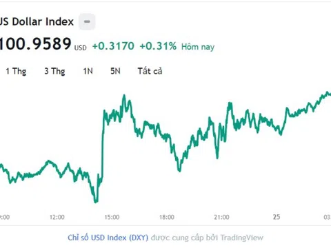 Tỷ giá USD hôm nay 25/7: Cập nhật tỷ giá USD trong nước và quốc tế