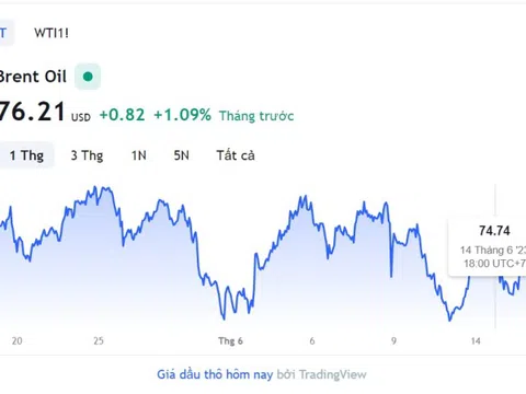 Giá xăng dầu hôm nay 25/7: Cập nhật giá xăng dầu trong nước, quốc tế