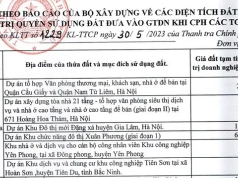 Thanh tra cổ phần hoá Viglacera: Đề nghị truy thu hơn 44 tỷ vào ngân sách