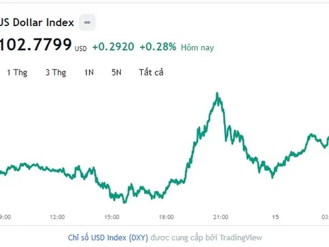 Tỷ giá USD hôm nay 15/8: Cập nhật tỷ giá USD trong nước và quốc tế