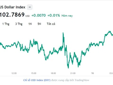 Tỷ giá USD hôm nay 16/8: Cập nhật tỷ giá USD trong nước và quốc tế