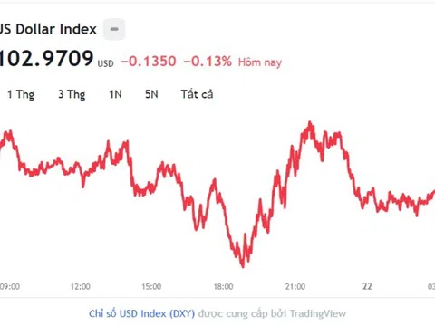 Tỷ giá USD hôm nay 22/8: Cập nhật tỷ giá USD trong nước và quốc tế