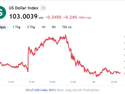 Tỷ giá USD hôm nay 24/8: Cập nhật tỷ giá USD trong nước và quốc tế