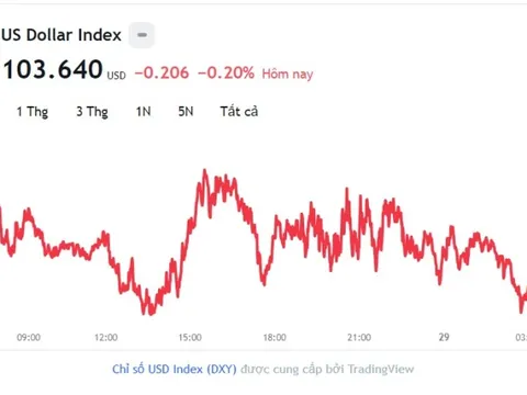 Tỷ giá USD hôm nay 29/8: Cập nhật tỷ giá USD trong nước và quốc tế