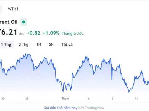 Giá xăng dầu hôm nay 14/9: Cập nhật giá xăng dầu trong nước, quốc tế