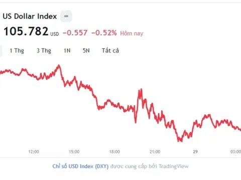 Tỷ giá USD hôm nay 29/9: Cập nhật tỷ giá USD trong nước và quốc tế