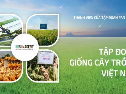 Vina Seed bị xử phạt và truy thu thuế hơn 1,3 tỷ đồng