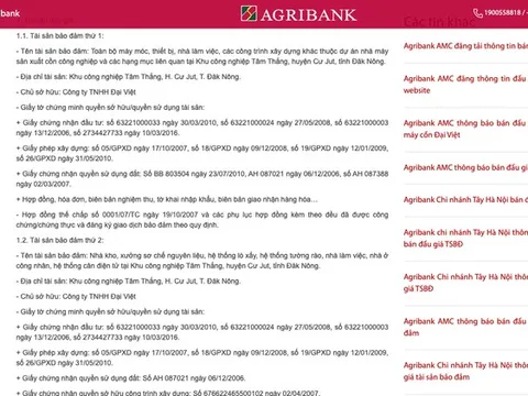 Hóa chất Đức Giang chi 253 tỷ mua lại tài sản từng bị Agribank siết nợ