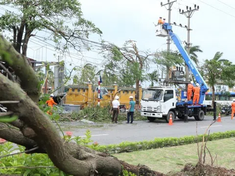 Gần 99% khách hàng bị ảnh hưởng bởi bão số 3 được cấp điện trở lại