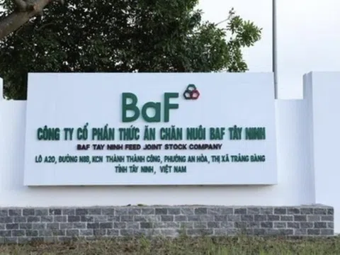 BAF Việt Nam: Liên tiếp thâu tóm 7 DN chăn nuôi trong hơn 1 tháng