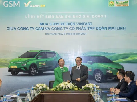 Năm 2024, Tập đoàn Mai Linh liên tục bị nhắc tên nợ thuế, chậm đóng BHXH