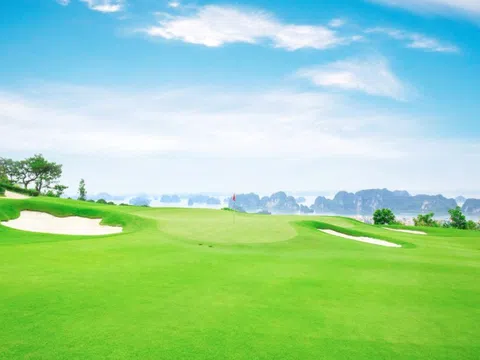 Thái Bình quy hoạch sân golf 18 lỗ sát bờ sông ở Quỳnh Phụ