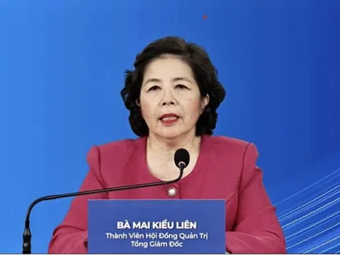 CEO Vinamilk Mai Kiều Liên nhận lương gần nửa tỷ mỗi tháng