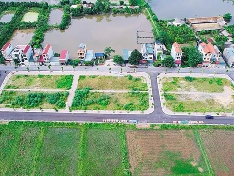 Đấu giá lại 54 lô đất từng bị bỏ cọc ở Thanh Oai, giá trúng tiếp tục gây bất ngờ
