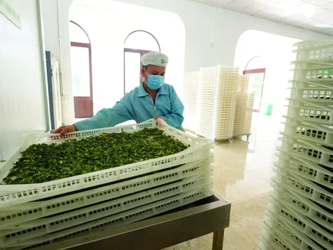 Chuyển đổi xanh: Cuộc đua không thể bỏ lỡ của mọi doanh nghiệp