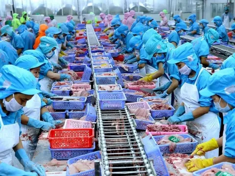 Doanh nghiệp thủy sản tăng tốc trước rào cản thuế từ Mỹ