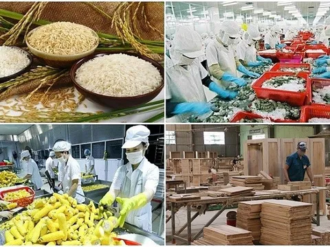 Nông, lâm, thủy sản xuất khẩu đạt 28 tỷ USD sau 5 tháng