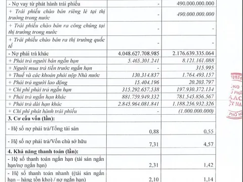Chưa đầy một tháng, AAC Việt Nam vay nợ 1.250 tỷ qua trái phiếu