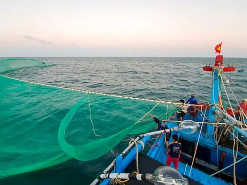 Quyết tâm gỡ 'thẻ vàng' IUU, phát triển bền vững ngành thủy sản Việt Nam