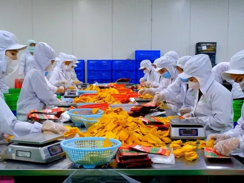 Xuất khẩu nông, lâm, thủy sản vượt kỷ lục năm 2024