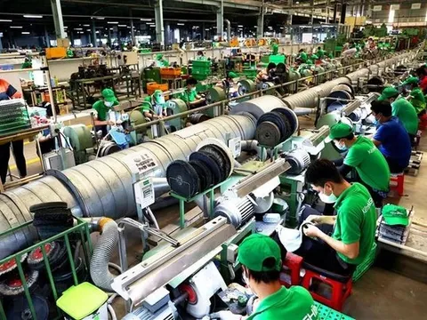 Chuyển đổi kép thúc đẩy năng suất trong doanh nghiệp công nghiệp và năng lượng