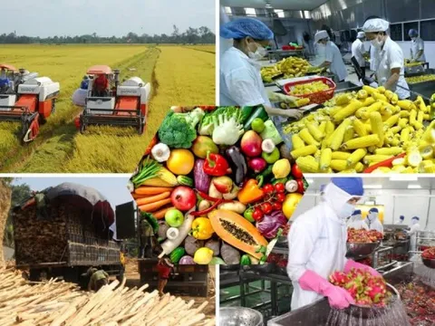 Xuất khẩu nông sản 2 tháng tăng trưởng 17,1%, đạt 11,3 tỷ USD