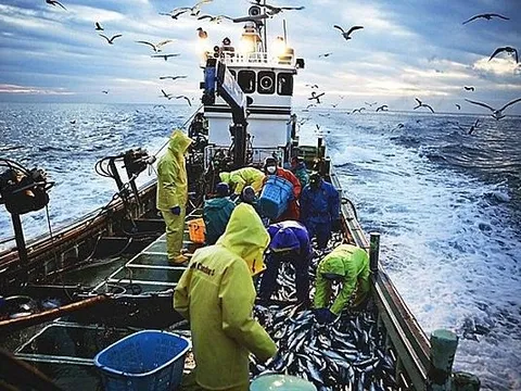 Hạ tầng: “Chìa khóa mềm” gỡ thẻ vàng IUU