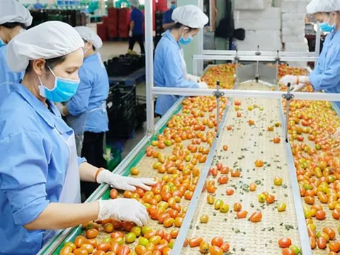 Xuất khẩu nông lâm thủy sản bứt tốc mạnh mẽ, đạt gần 17 tỷ USD