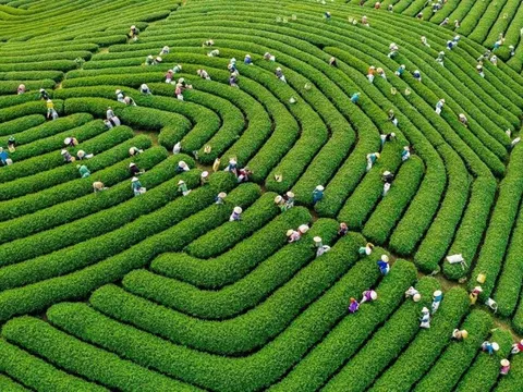 Điều chỉnh Quy hoạch 6 vùng: Nhấn mạnh yêu cầu phát triển bền vững