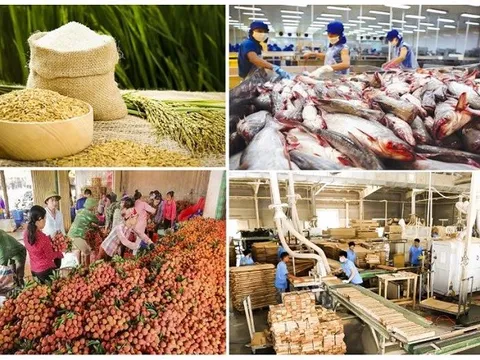 Xuất khẩu nông lâm thủy sản đạt 23 tỷ USD trong 4 tháng