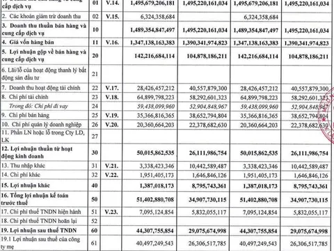 IDI: Lãi tăng hơn 50% nhưng vay nợ 5.500 tỷ đồng và gần 1.000 tỷ phải thu chưa thuyết minh