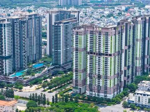 ‘Dòng tiền đang tìm đến những thị trường có nền tảng tăng trưởng thực’