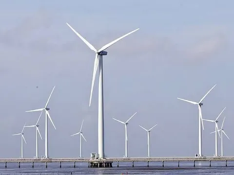 Nhà đầu tư điện gió ngoài khơi phải có tối thiểu 20% vốn chủ sở hữu