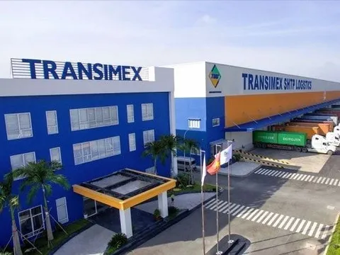 Transimex: Bị phạt 555 triệu đồng, lợi nhuận từ công ty liên kết chiếm tỷ trọng lớn