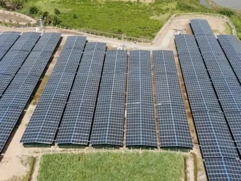 Điện Gia Lai lãi hơn 270 tỷ đồng, điện gió là trụ cột doanh thu